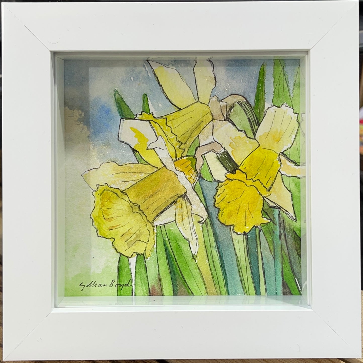 Daffodils