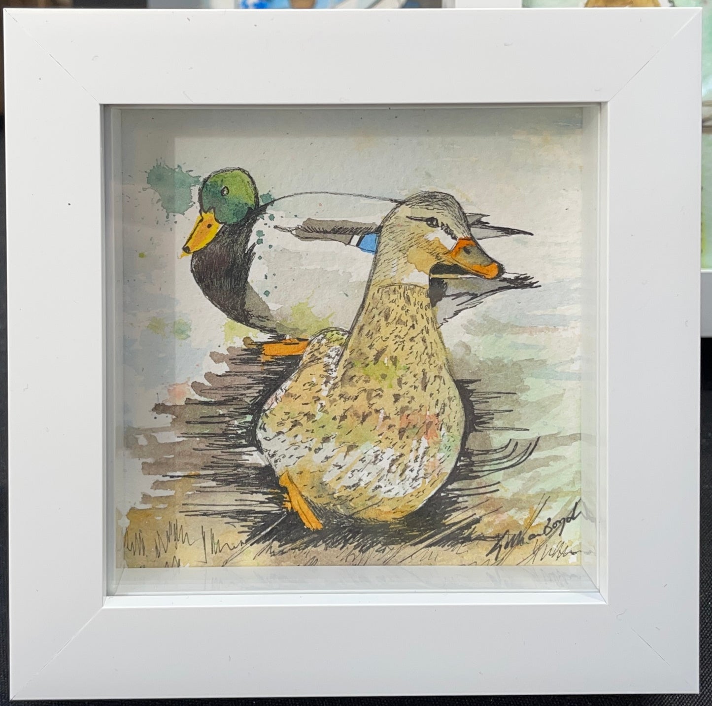 Mallard ducks (male & female)