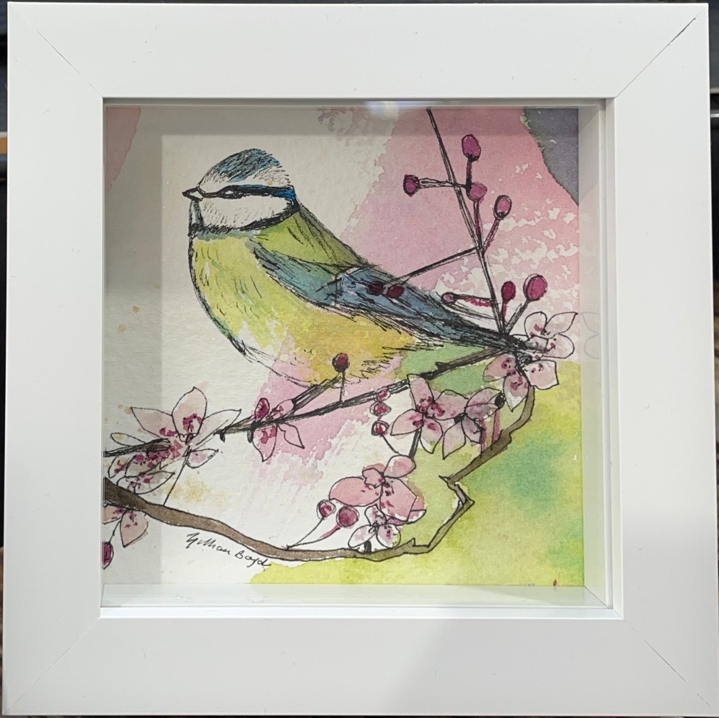Blue Tit with blossom