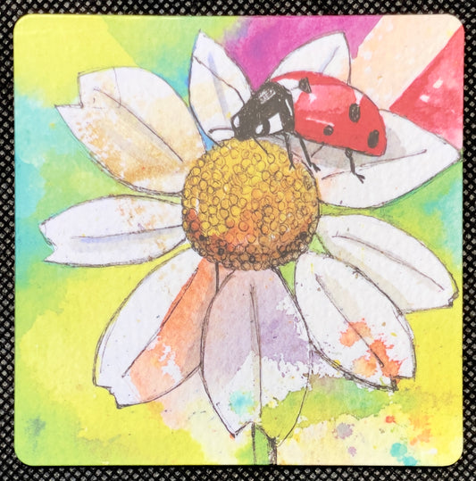 Coaster - Daisy & Ladybird