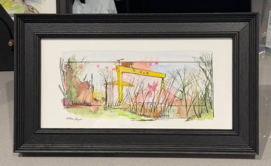 Cranes from Victoria Park, Belfast