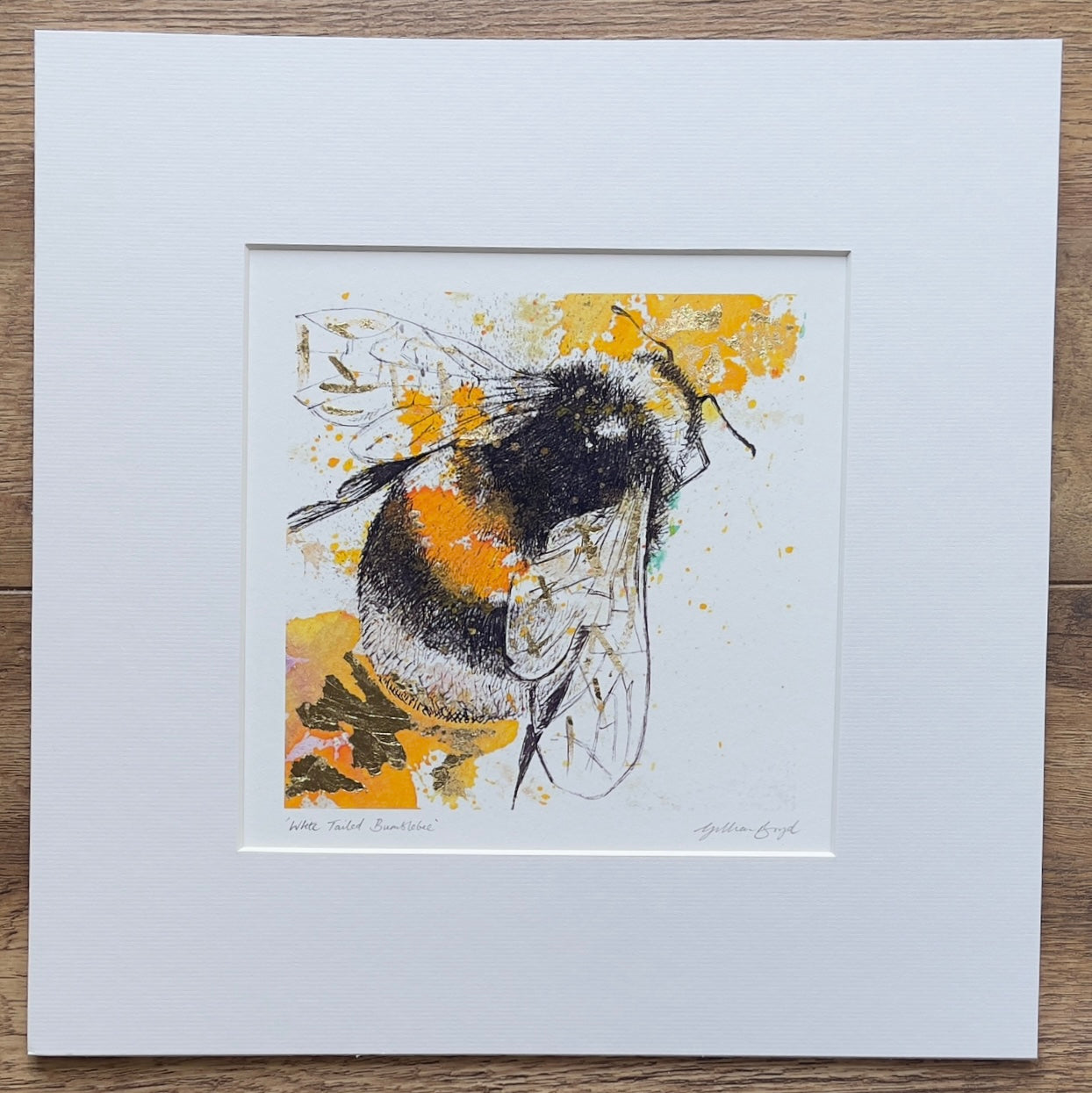 White Tailed Bumblebee