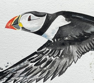 The Puffin