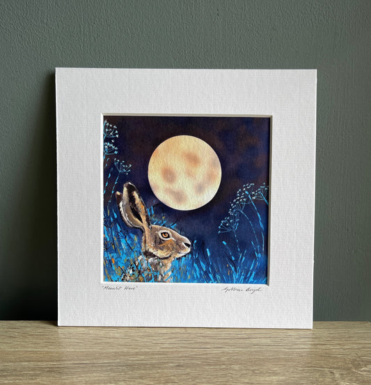 Moonlit Hare