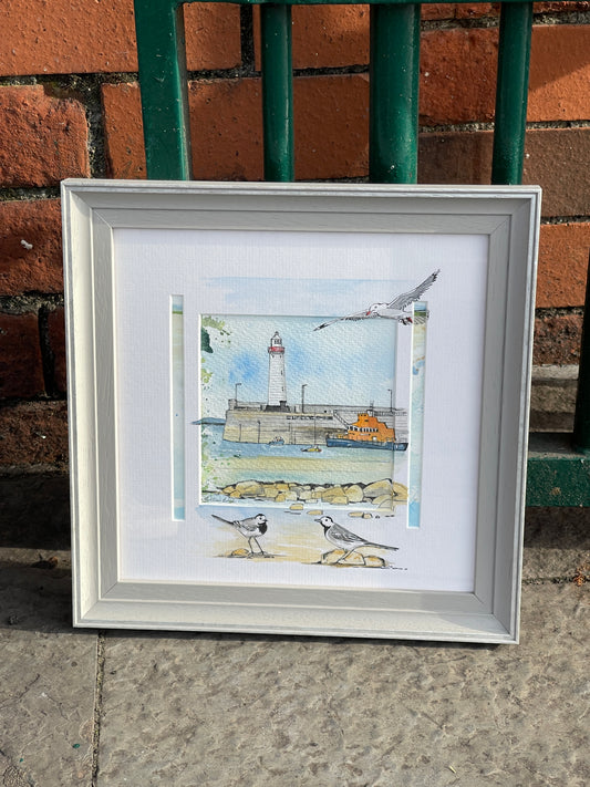 Donaghadee Harbour with Wagtails & Seagull